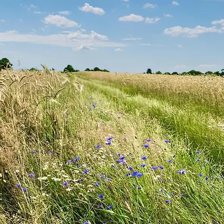 2 Bedroom Stunning In *